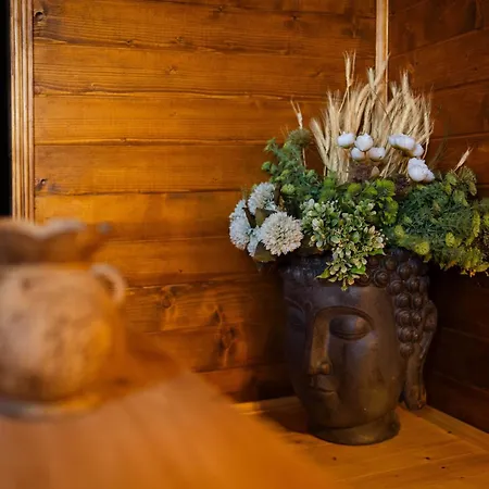Brvnara Aurora Vista Sa Bazenom Casa vacanze
