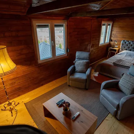 Brvnara Aurora Vista Sa Bazenom Ferienhaus